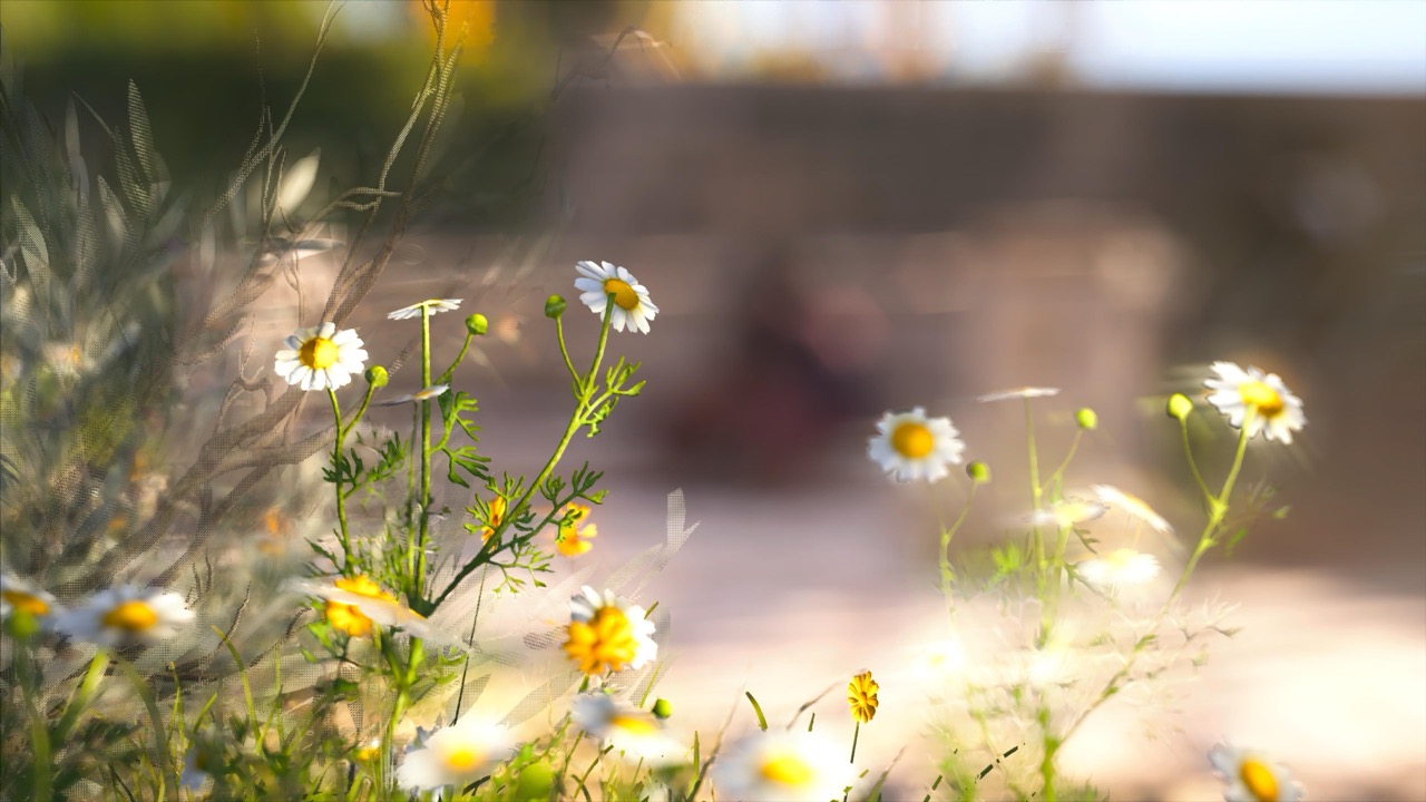 Studies on Breaking Immersion